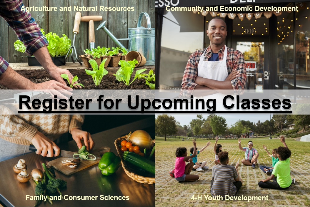 Photos representing agriculture and natural resources, community and economic development, family and consumer science, and 4-H. Register for upcoming classes.